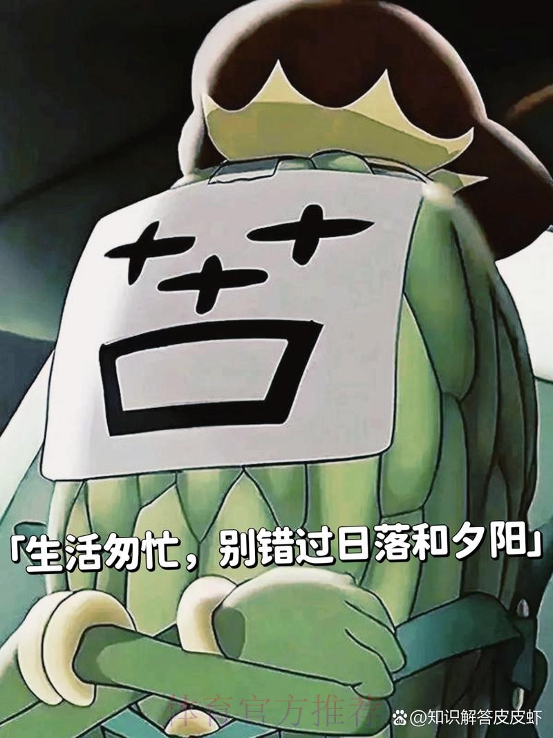 琼阿梅尼：没见过小蜘蛛这情况 黄牌停赛很憋屈